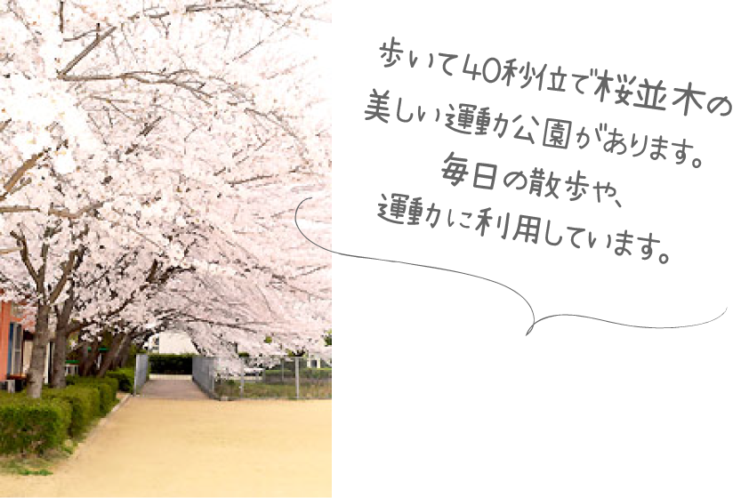 歩いて40秒位で桜並木の美しい公園があります。毎日のお散歩や、運動に利用しています。